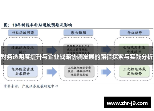 财务透明度提升与企业战略协调发展的路径探索与实践分析 财务透明度提升与企业战略协调发展的路径探索与实践分析