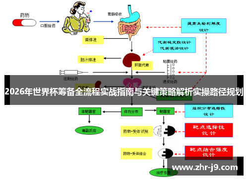 2026年世界杯筹备全流程实战指南与关键策略解析实操路径规划